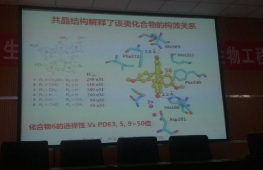 中山大学尹胜教授来公司进行学术交流