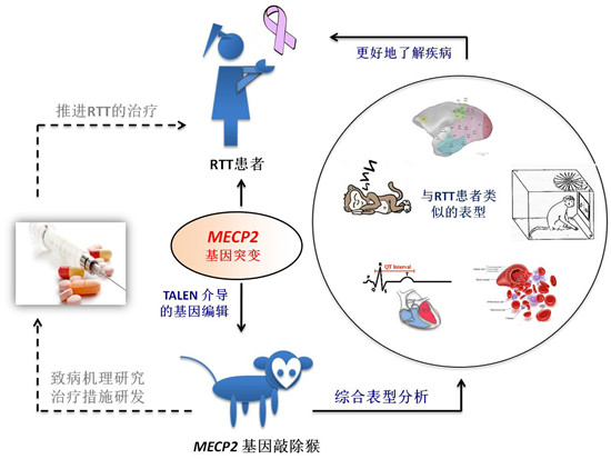 国际顶级期刊《Cell》刊登大阳集团娱乐网址8722专家团队重大研究成果